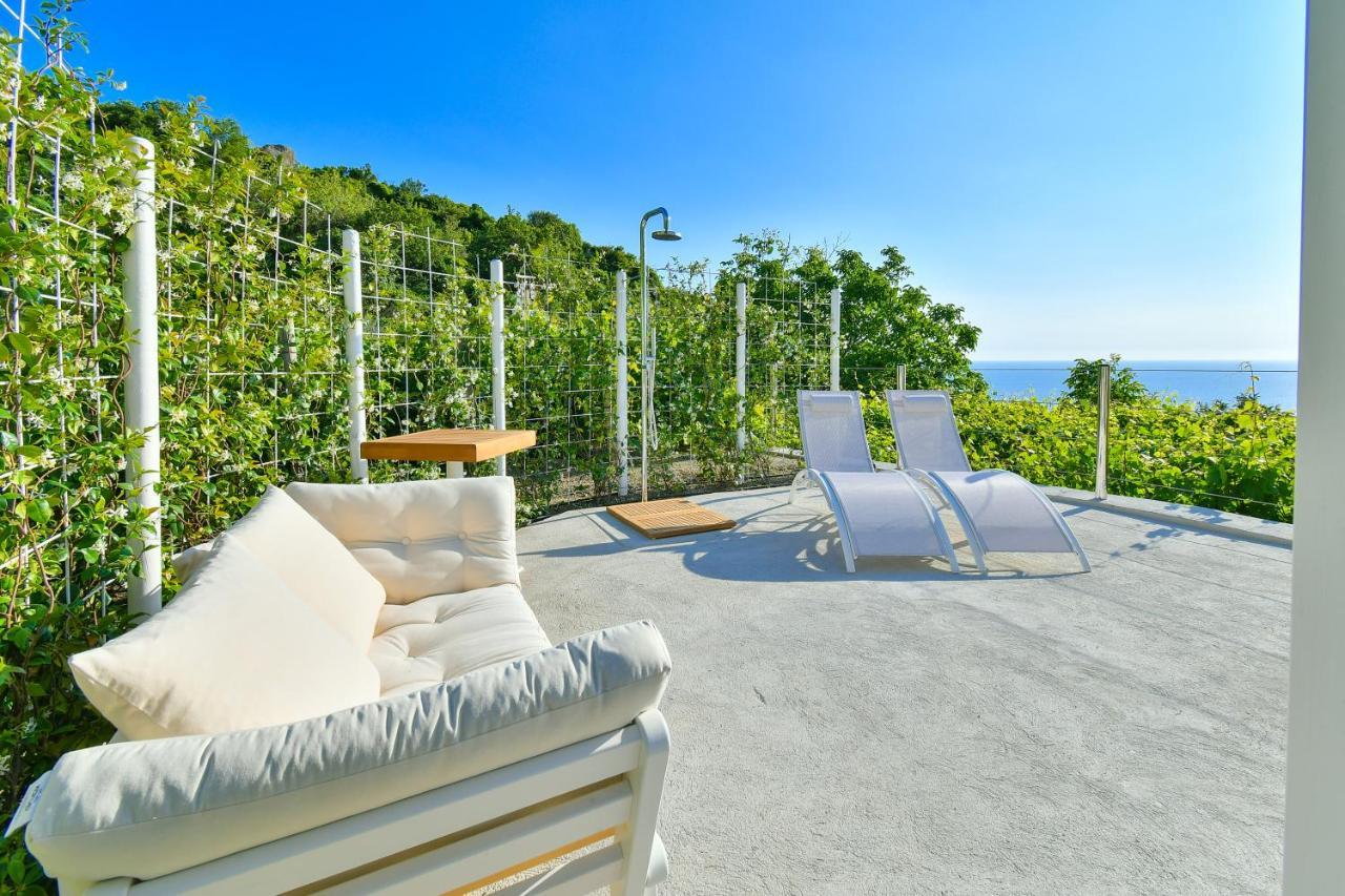Tenuta C'Est La Vie Forio di Ischia Zewnętrze zdjęcie