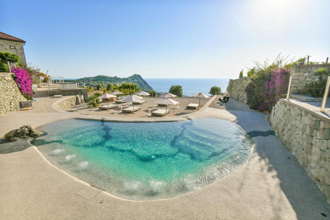 Tenuta C'Est La Vie Forio di Ischia Zewnętrze zdjęcie