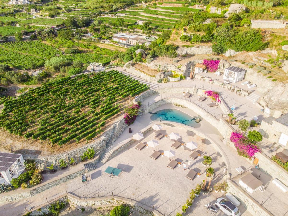 Tenuta C'Est La Vie Forio di Ischia Zewnętrze zdjęcie
