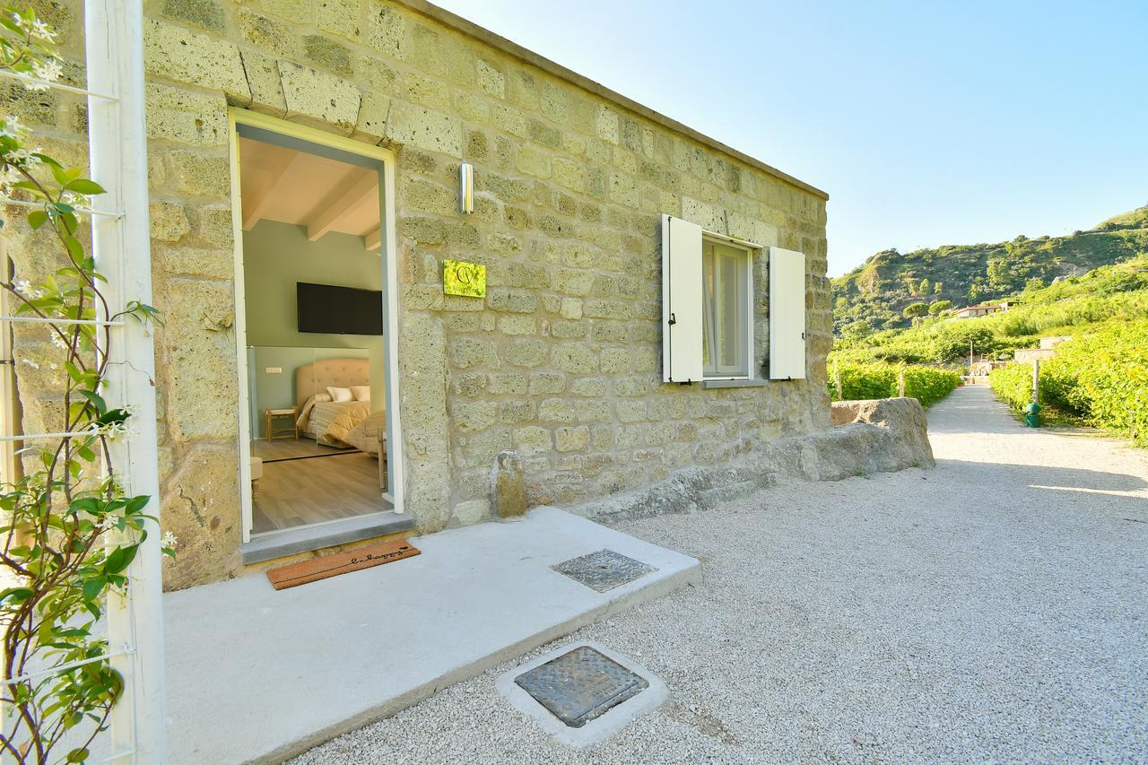 Tenuta C'Est La Vie Forio di Ischia Zewnętrze zdjęcie