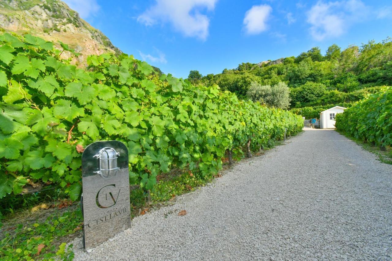 Tenuta C'Est La Vie Forio di Ischia Zewnętrze zdjęcie