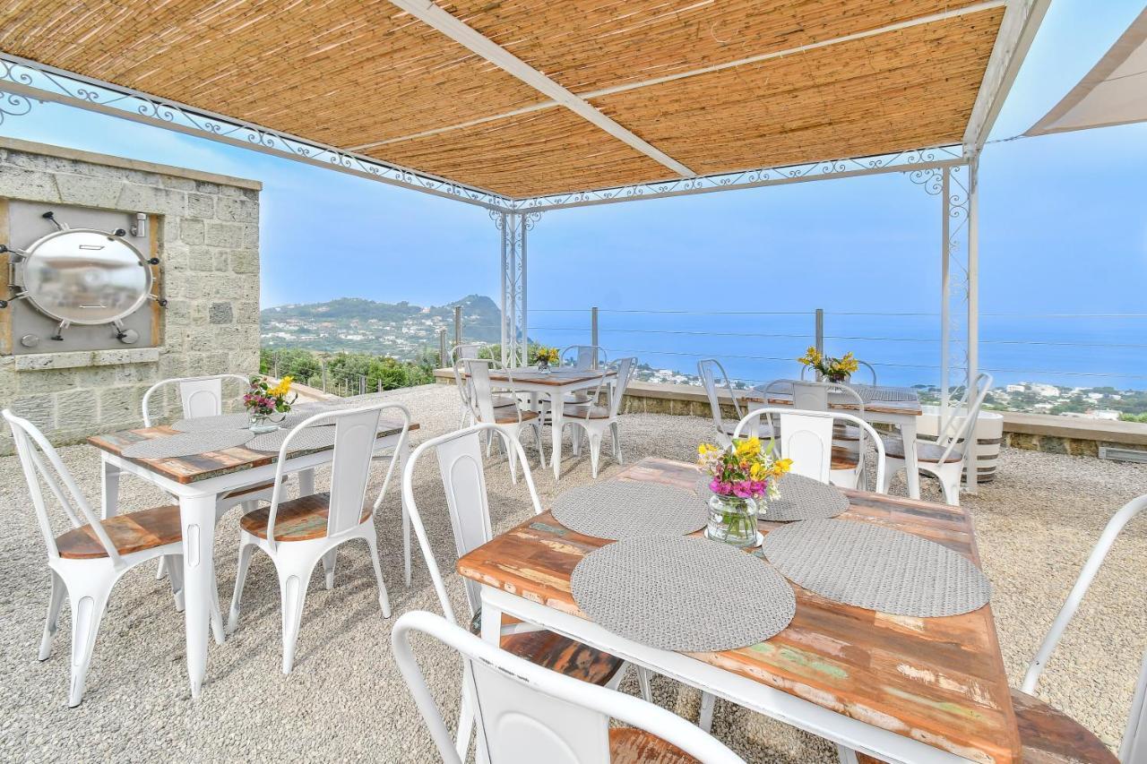 Tenuta C'Est La Vie Forio di Ischia Zewnętrze zdjęcie