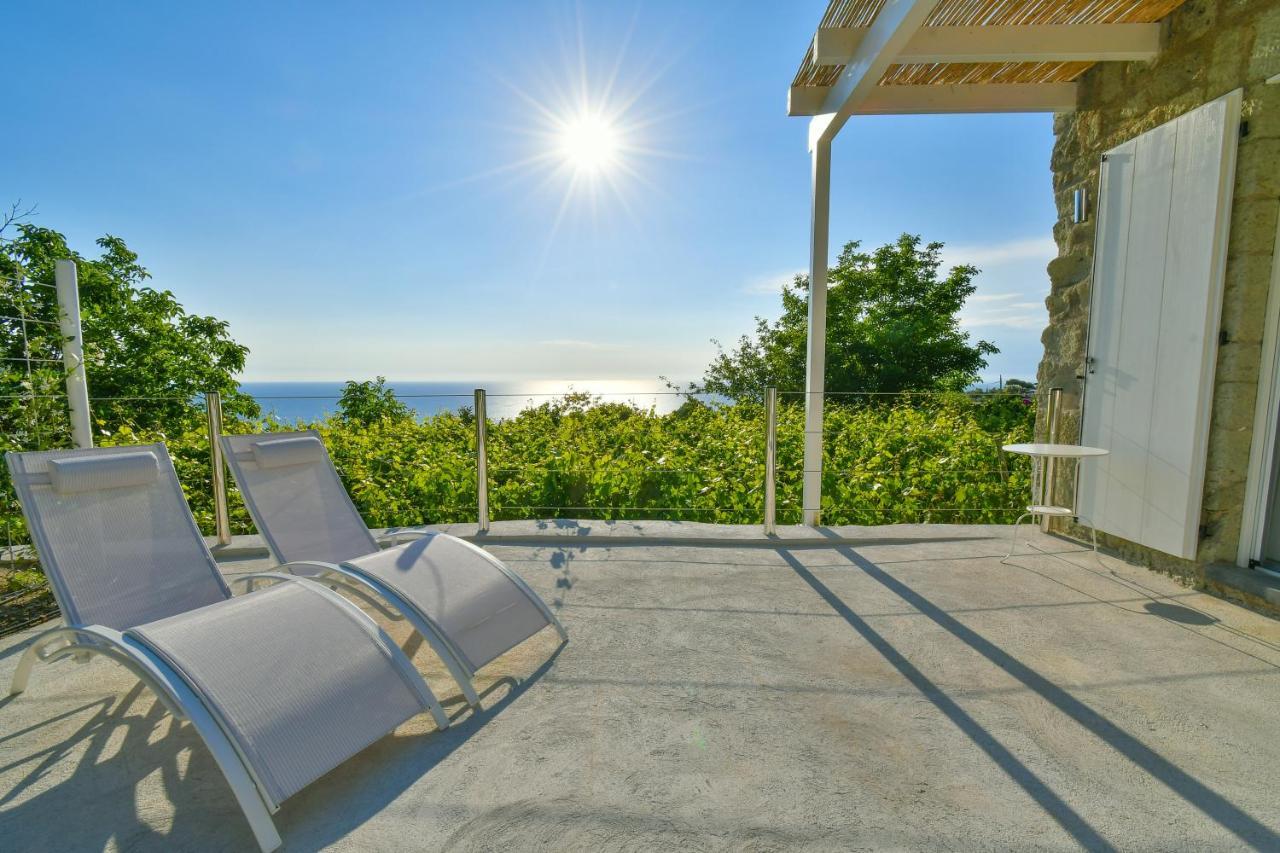 Tenuta C'Est La Vie Forio di Ischia Zewnętrze zdjęcie