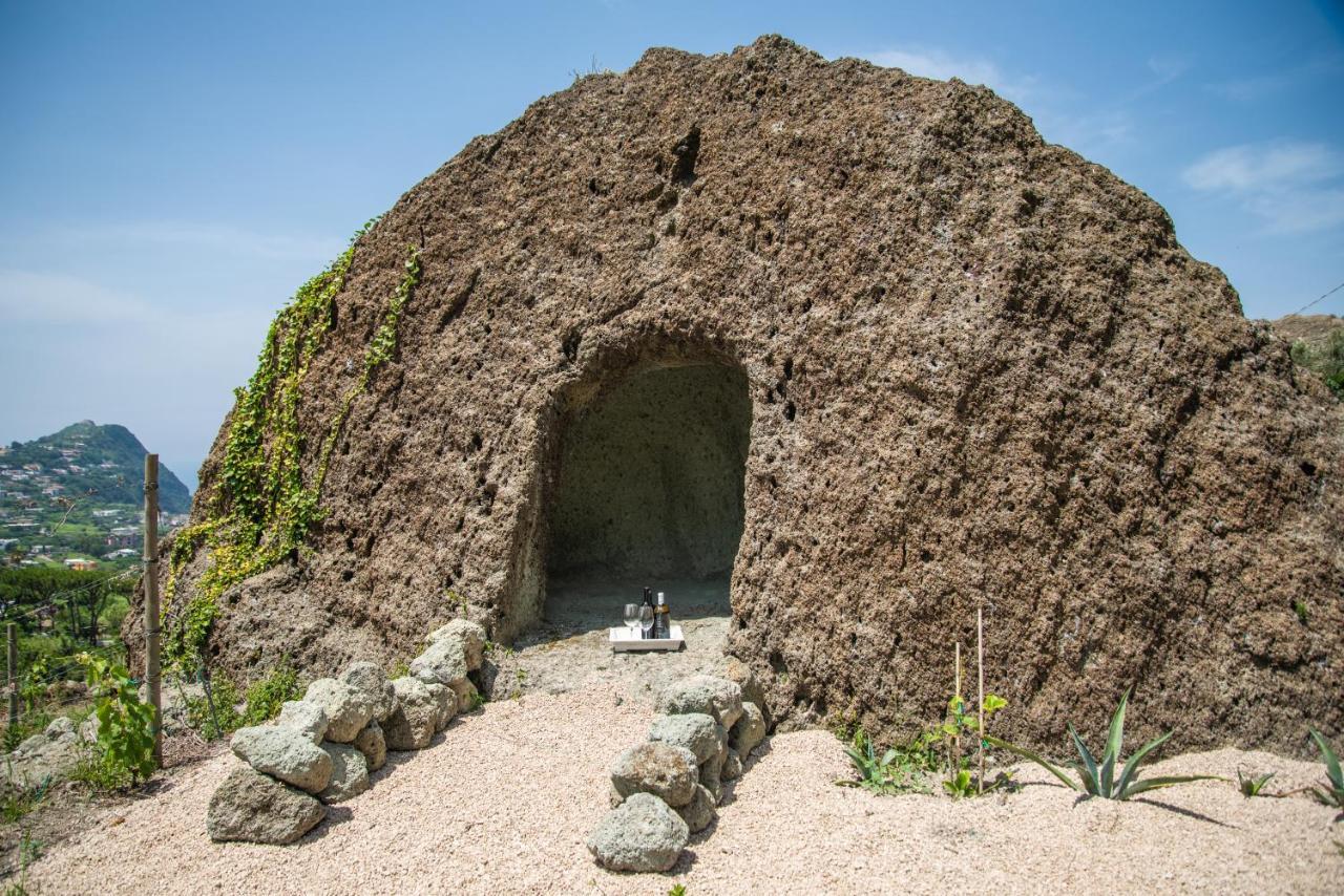 Tenuta C'Est La Vie Forio di Ischia Zewnętrze zdjęcie